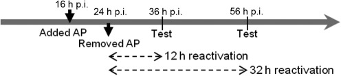 Fig. 1. 