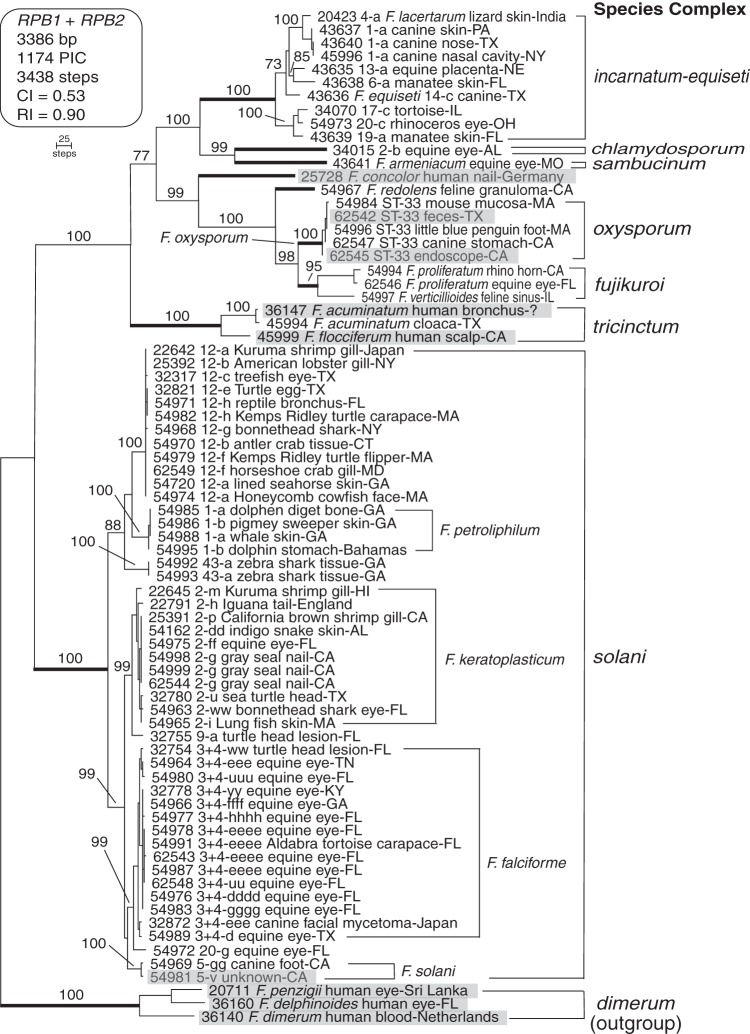 FIG 1