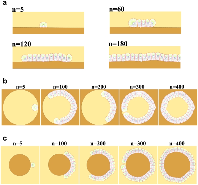 Figure 12