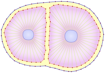 Figure 8