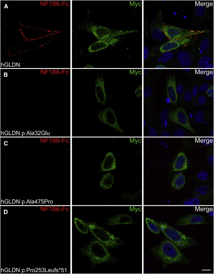 Figure 4