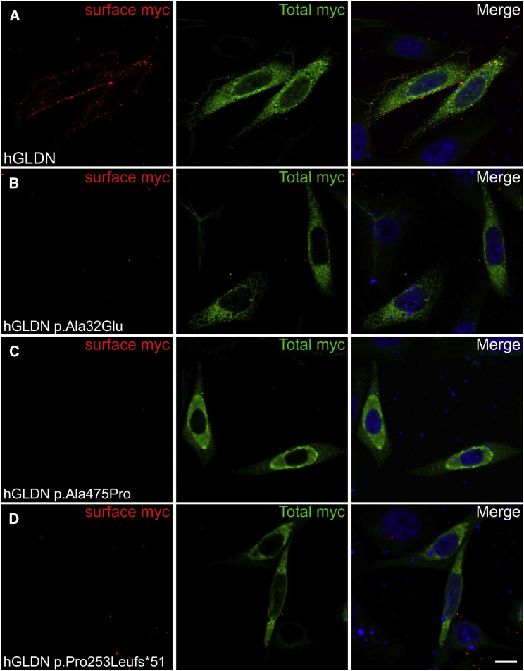 Figure 3