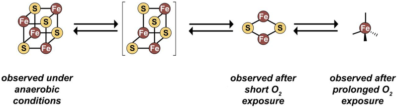 Figure 9.