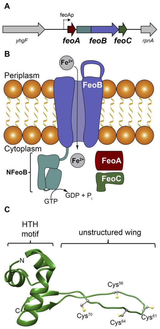 Figure 1.