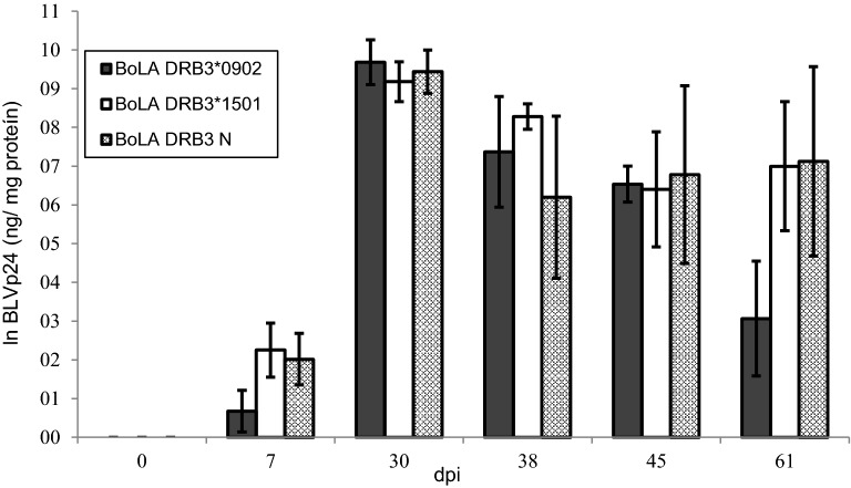 Figure 4