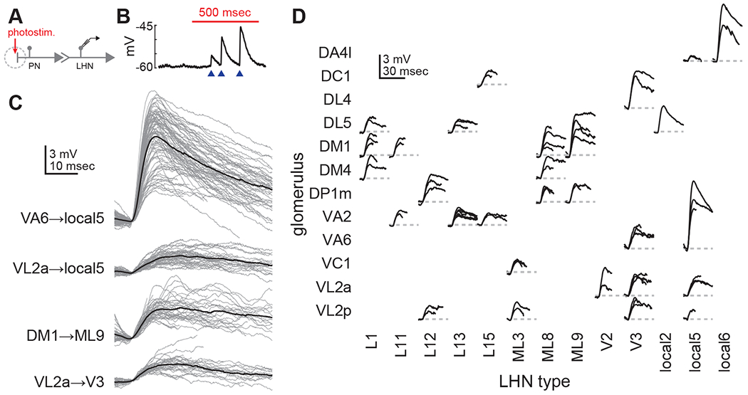 Figure 2.