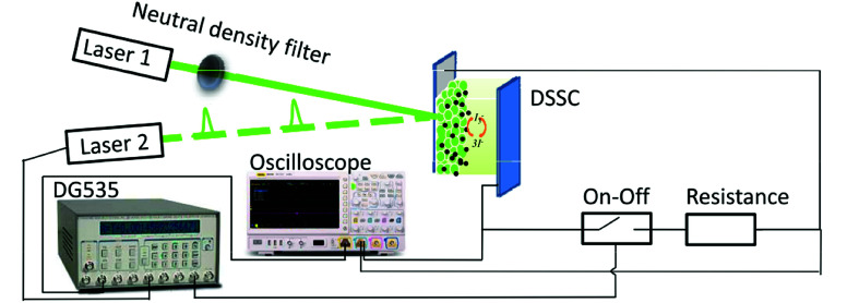 Fig. 1