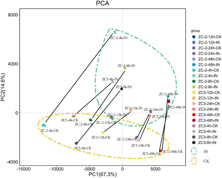 FIGURE 2