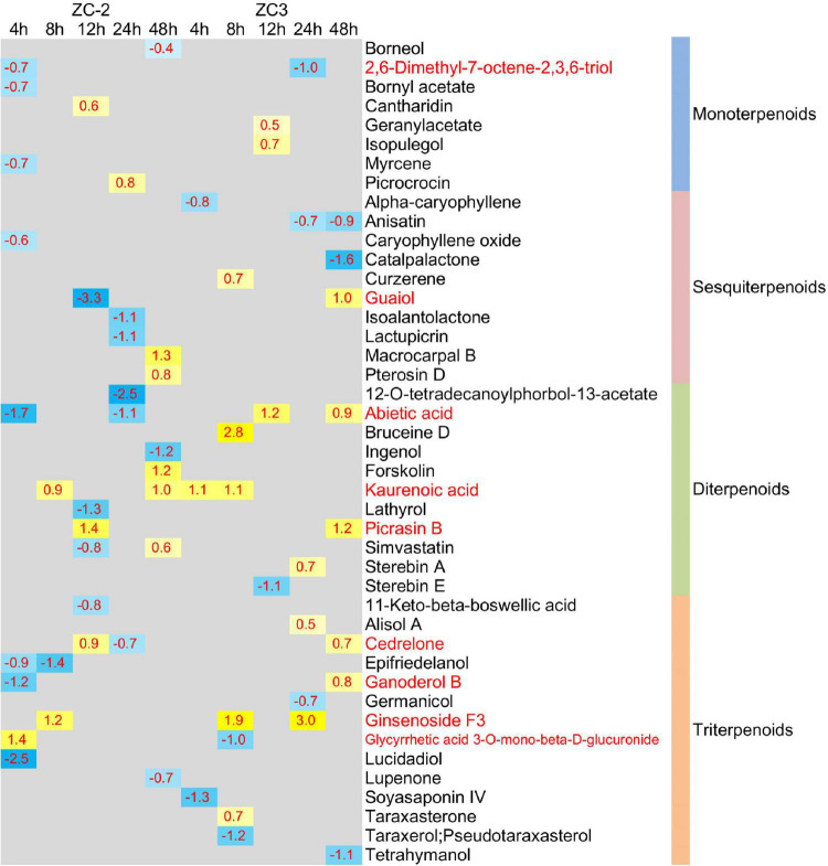 FIGURE 11