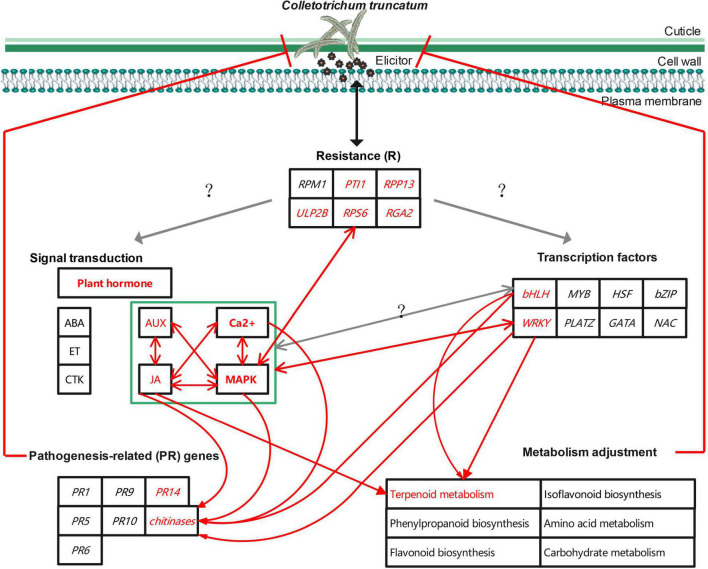 FIGURE 13