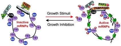 FIG. 8.