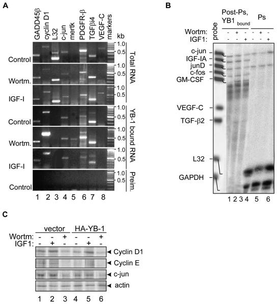 FIG. 7.