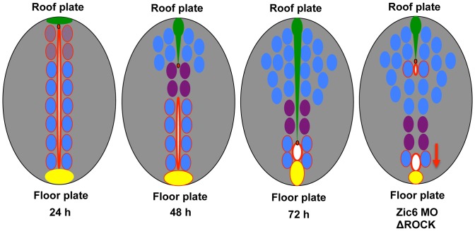 Figure 8