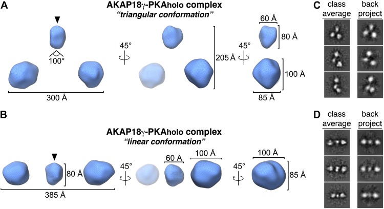 Figure 2—figure supplement 2.