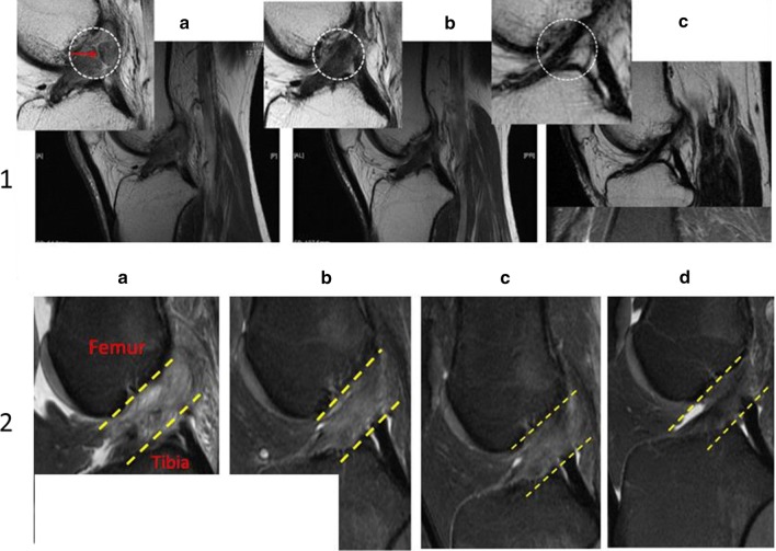 Fig. 7