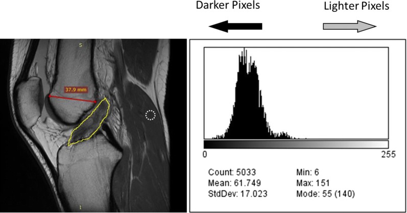 Fig. 2