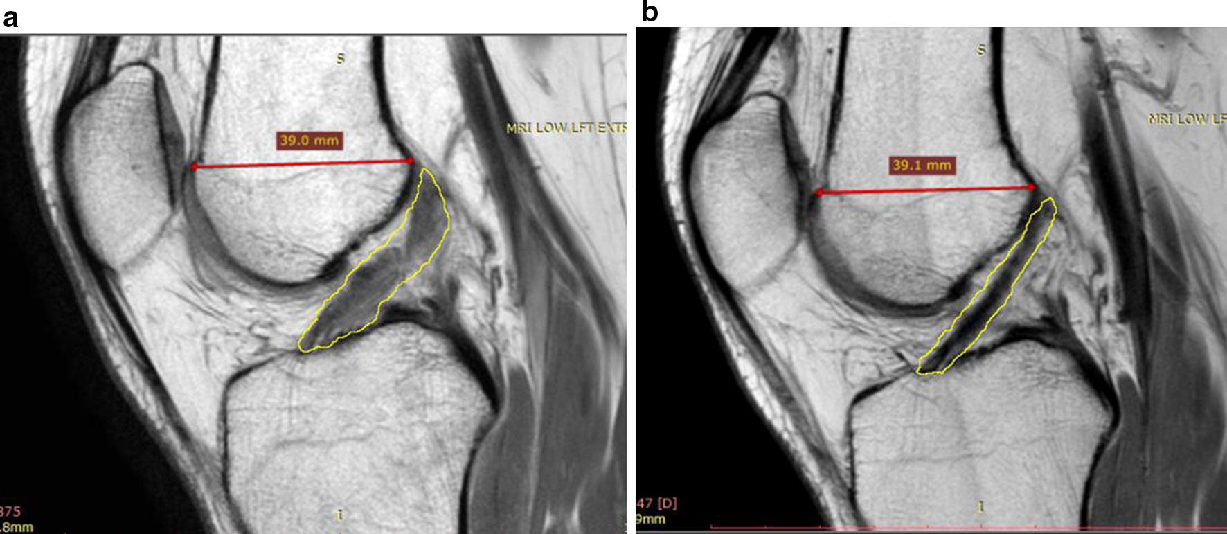 Fig. 6