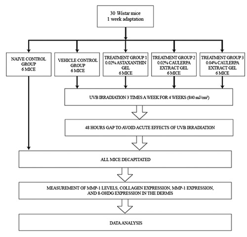 Figure 1.