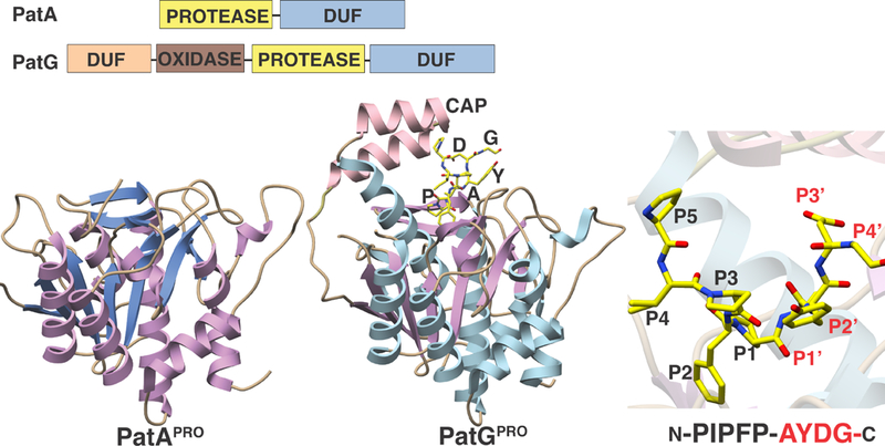 Figure 10.