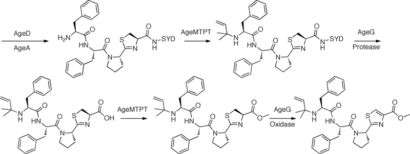 Figure 15.