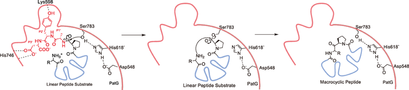 Figure 11.