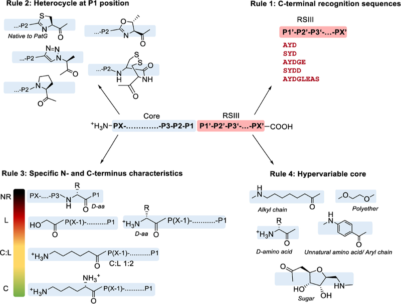 Figure 9.