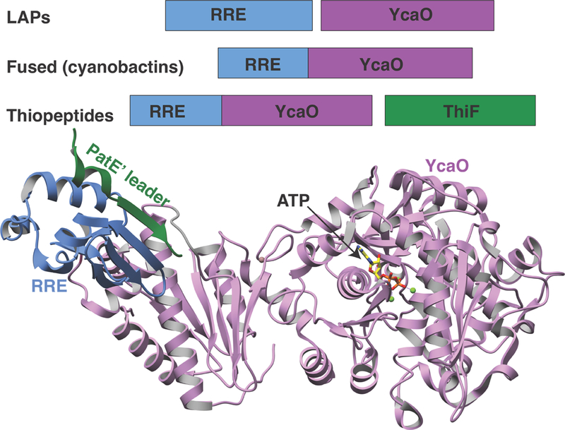 Figure 6.