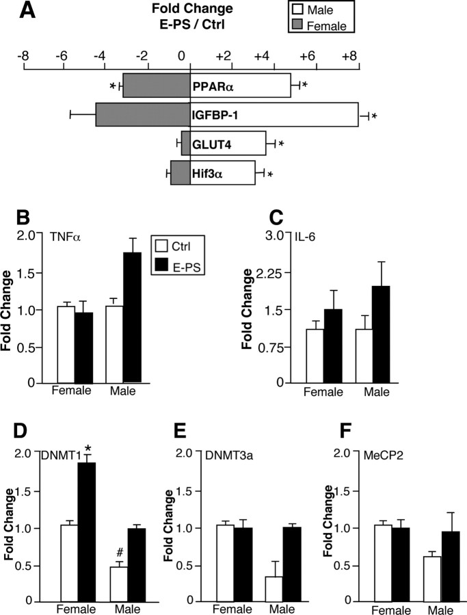 Figure 7.