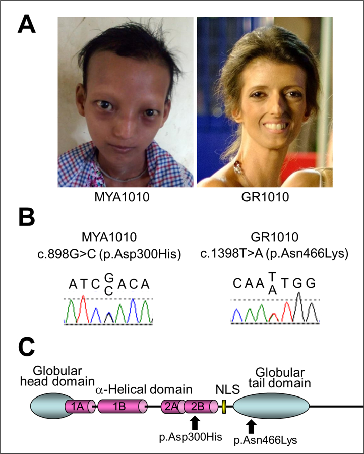 Figure 1.