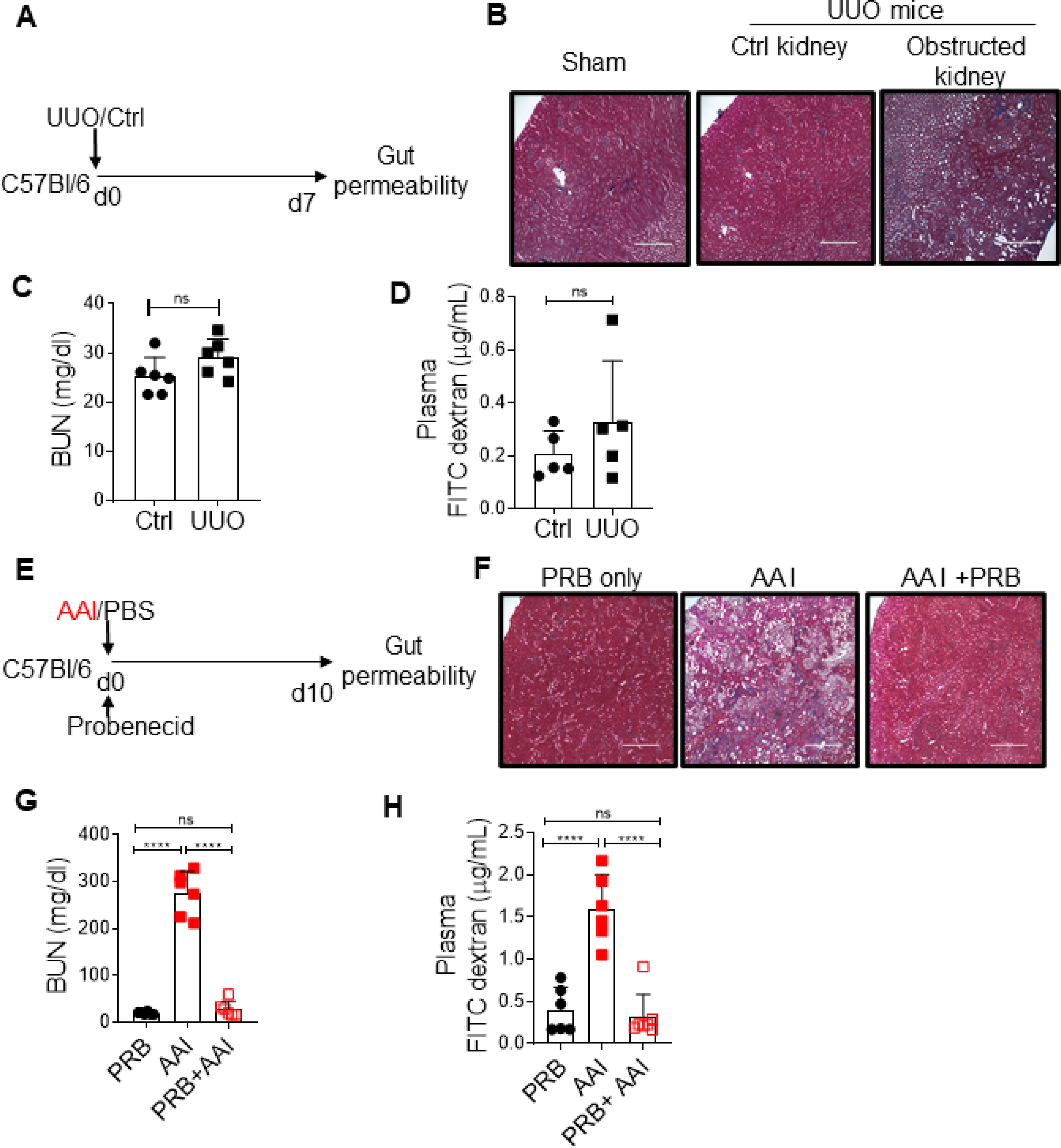 Fig 2: