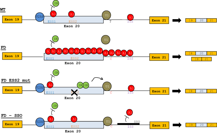 Figure 10.