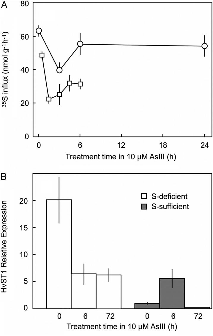 Figure 5.