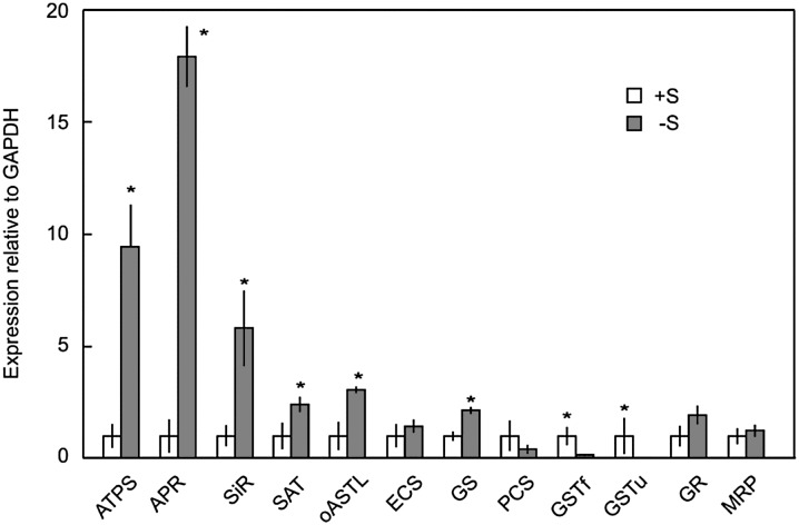 Figure 6.