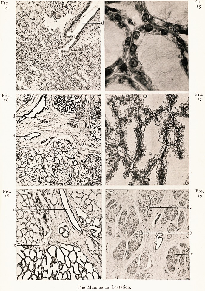 Fig. 14 Fig. 15 Fig. 16 Fig. 17 Fig. 18 Fig. 19