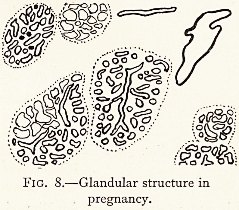 Fig. 8.