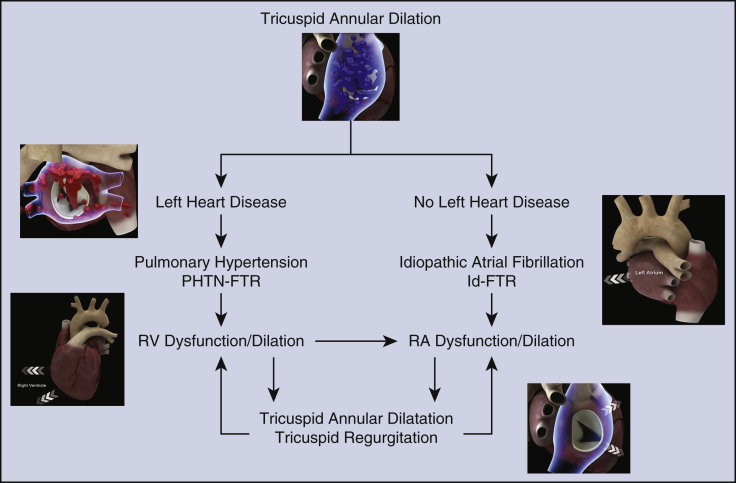 Figure E1