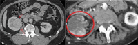 Fig. 8