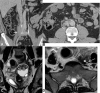 Fig. 9