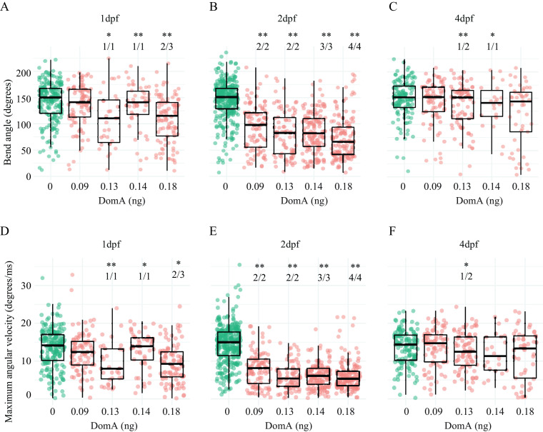 Figures 4A, 4B, and 4C are graphs titled 1 day postfertilization, 2 days postfertilization, and 4 days postfertilization depicting kinematics for long latency C-bend startles in zebrafish exposed to domoic acid at 1, 2, and, 4 days postfertilization by plotting Bend angle (degrees), ranging from 0 to 200 in increments of 50 (y-axis) across doses of domoic acid (in nanograms) of 0 (Control), 0.09, 0.13, 0.14, and 0.18 (x-axis), respectively. Figures 4D, 4E, and 4F are graphs titled 1 day postfertilization, 2 days postfertilization, and 4 days postfertilization depicting kinematics for long latency C-bend startles in zebrafish exposed to domoic acid at 1, 2, and, 4 days postfertilization by plotting Maximum angular velocity (degrees per second), ranging from 0 to 30 in increments of 10 (y-axis) across doses of domoic acid (in nanograms) of 0 (Control), 0.09, 0.13, 0.14, and 0.18 (x-axis), respectively.