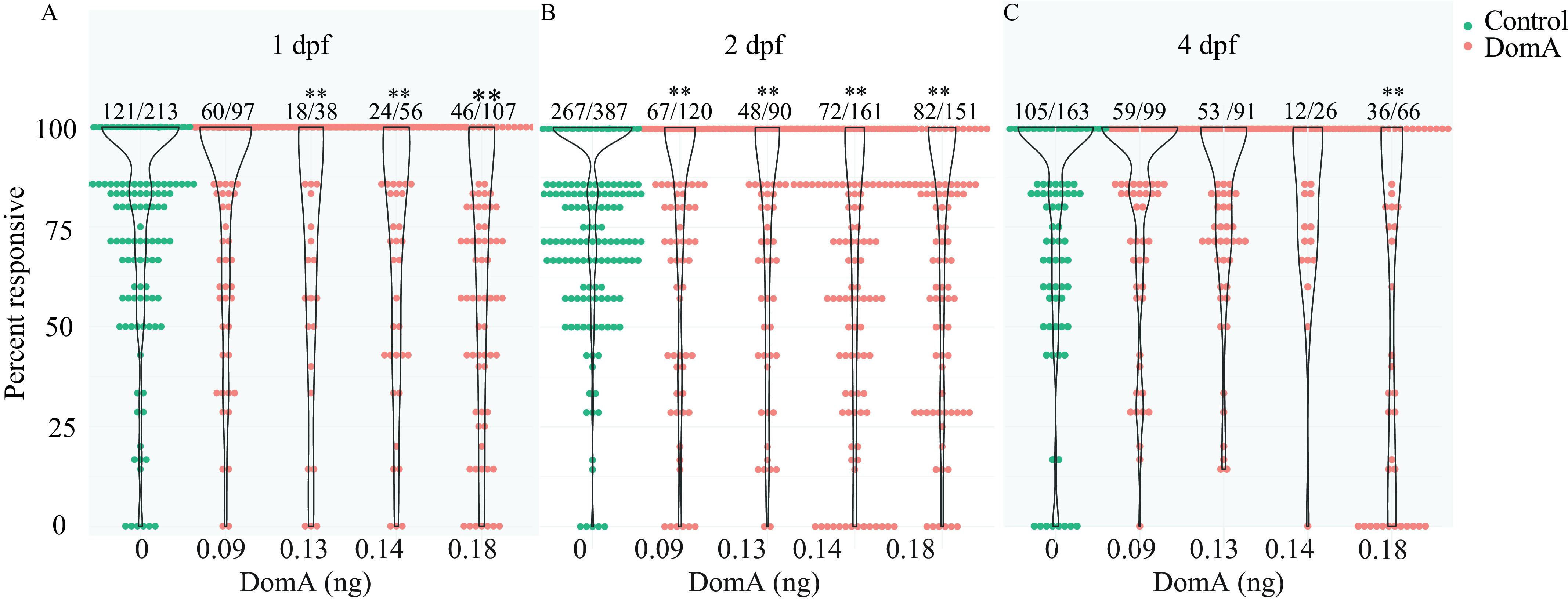 Figures 2A to 2C are graphs titled 1 day postfertilization, 2 days postfertilization, and 4 days postfertilization, depicting startle responsiveness in zebrafish exposed to domoic acid at 1, 2, and 4 days postfertilization by plotting percent responsive, ranging from 0 to 100 in increments of 25 (y-axis) across doses of domoic acid (in nanograms) of 0 (Control), 0.09, 0.13, 0.14, and 0.18 domoic acid (x-axis), respectively.