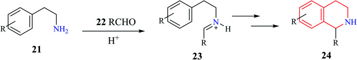 Scheme 2