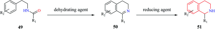 Scheme 8