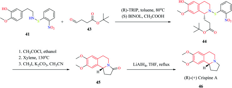 Scheme 6