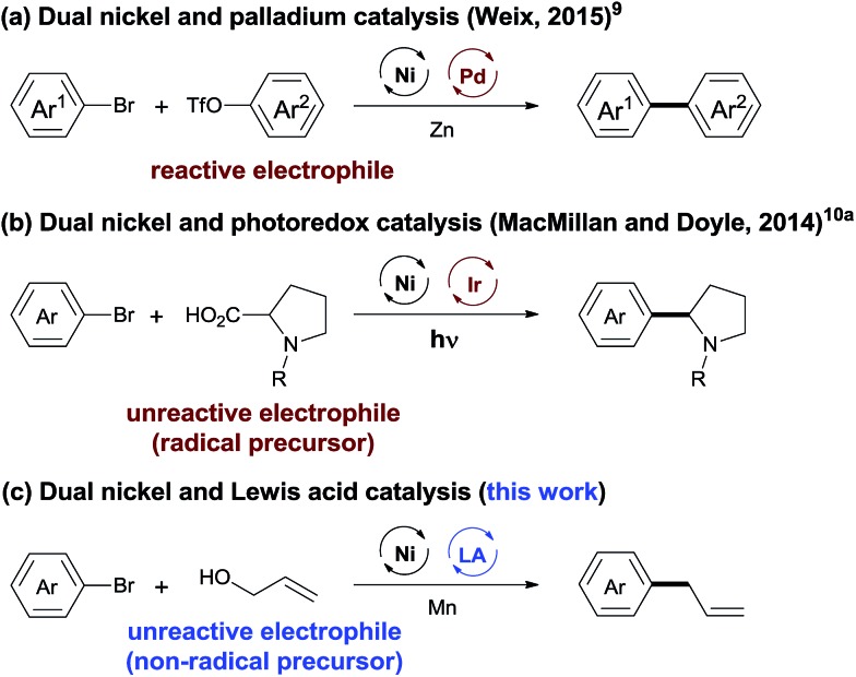 Scheme 1