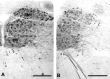Fig. 9.