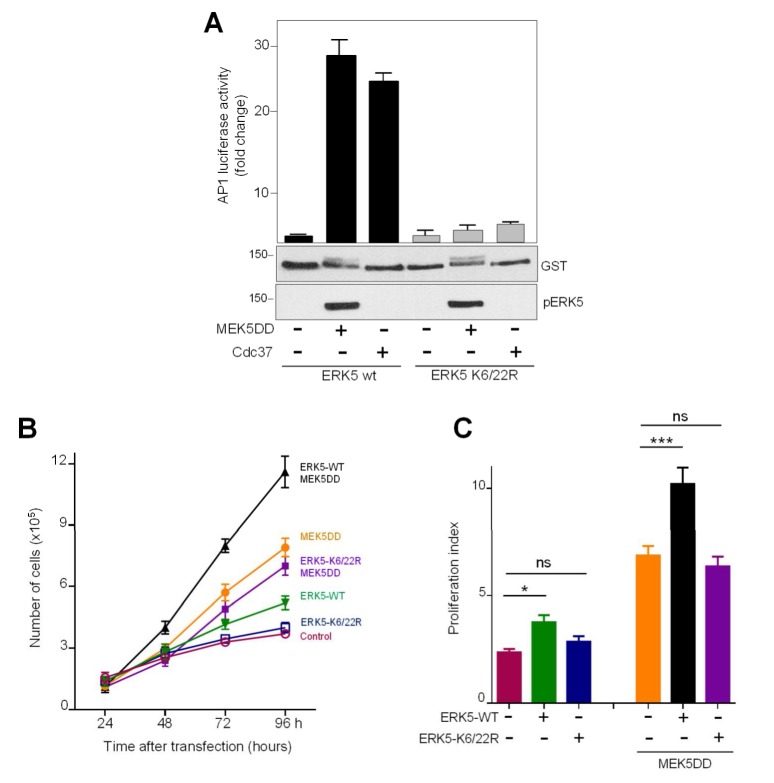 Figure 5