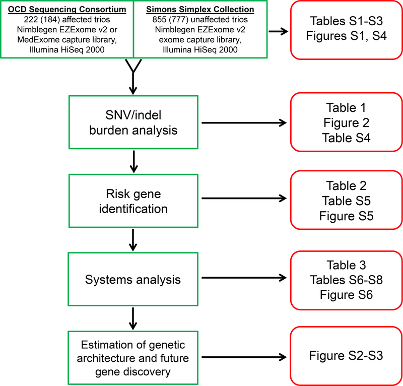 Figure 1 –