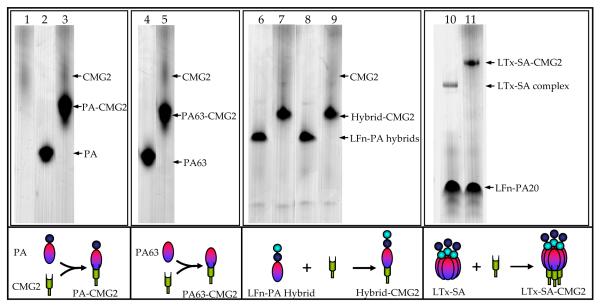 Fig. (3)