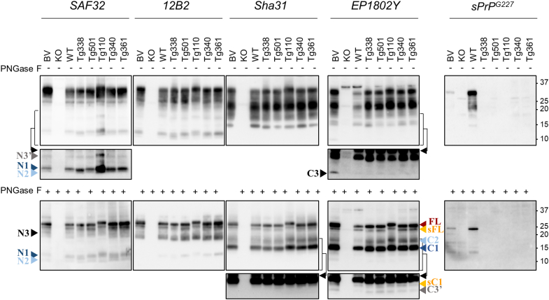 Figure 3