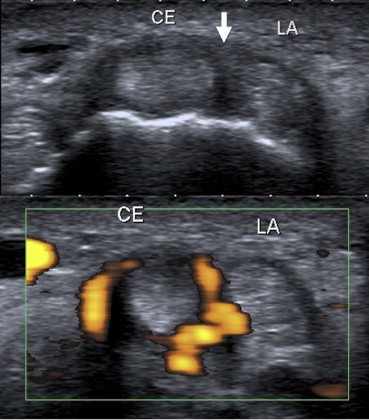 Figure 7